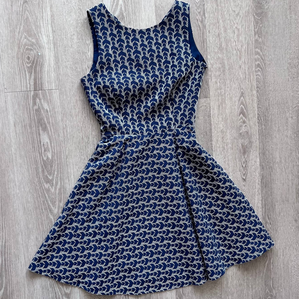 Zara Basic XS Embroidered Blue & Gray Backless Fit & Flare Dress